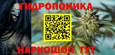 крисы Будённовск