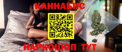 крисы Будённовск
