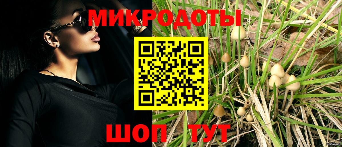 Галлюциногенные грибы Psilocybine cubensis  Вход с VPN  Петропавловск-Камчатский 