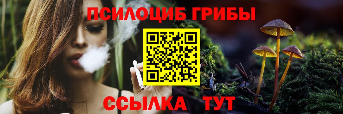 Псилоцибиновые грибы Psilocybine cubensis Петропавловск-Камчатский